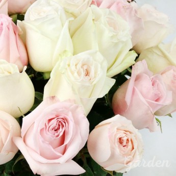 25 белых и розовых пионовидных роз